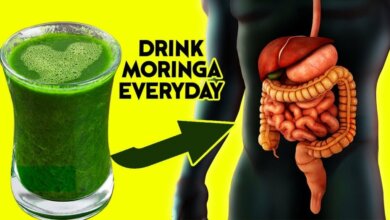 10 Amazing Health Benefits of Drinking Moringa Every Day