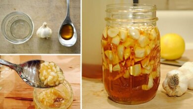 Boost Your Immune System with Garlic-Infused Honey A Simple and Powerful Recipe