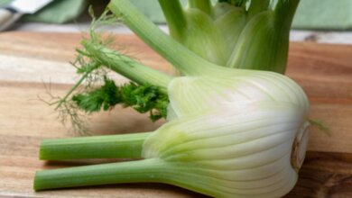 Brewing a Soothing Cup of Fennel Tea