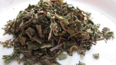 Discover the Benefits of Kidney-Healing Tea for Lowering Creatinine Levels