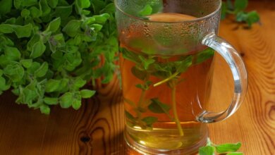 Discover the Healing Powers of Oregano Tea