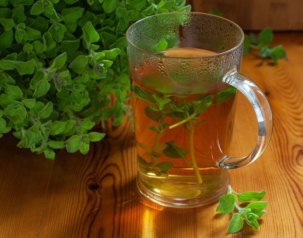 Discover the Healing Powers of Oregano Tea