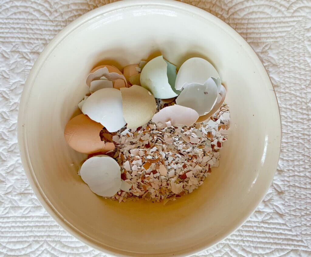 Discover the Surprising Uses for Eggshells Around Your Home