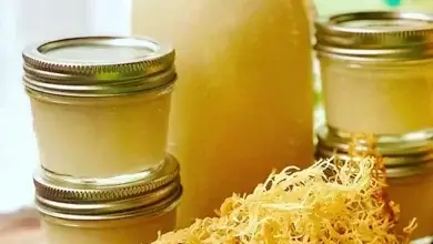 How to Make Sea Moss Gel in 3 Easy Steps