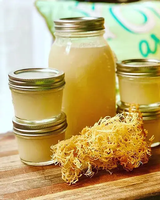 How to Make Sea Moss Gel in 3 Easy Steps