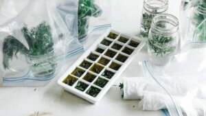 Keeping Your Fresh Herbs Vibrant Tips for Storing and Preserving