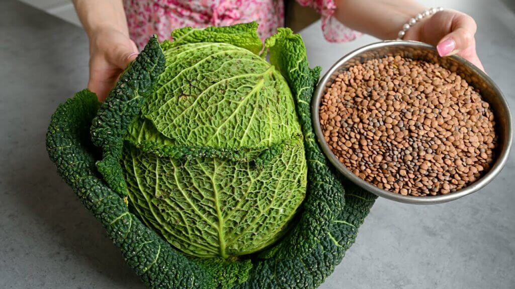 Lentils with Cabbage A Simple and Delicious Alternative to Meat