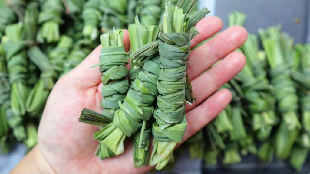 Storing and Wrapping Lemongrass Leaves Tips for Freshness