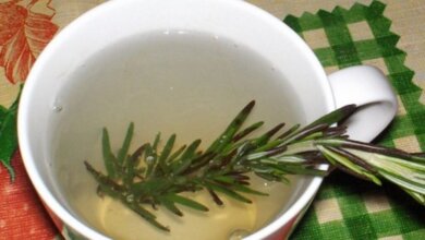 The Cleansing Power of Rosemary Te A Natural Approach to Heart Health