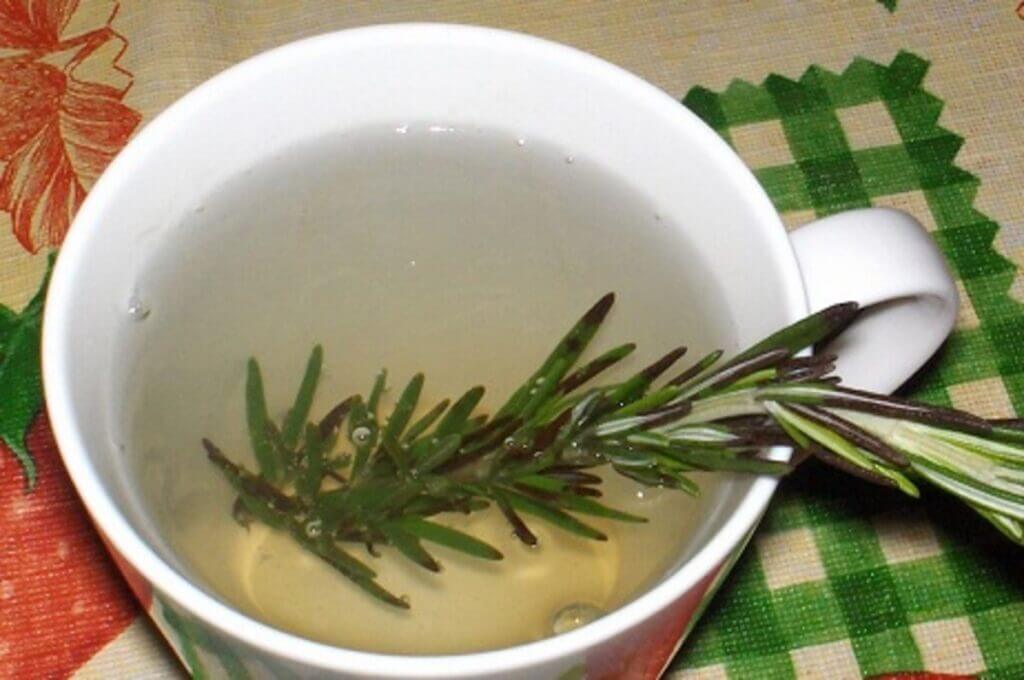 The Cleansing Power of Rosemary Te A Natural Approach to Heart Health