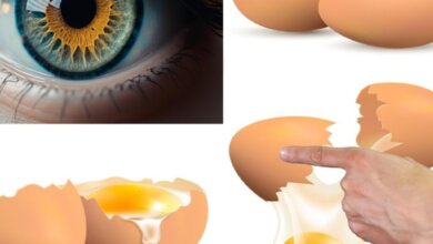 The Eye-Opening Benefits of Eggs for Vision Health