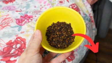 The Surprising Benefits of Placing Cloves Under Your Bed