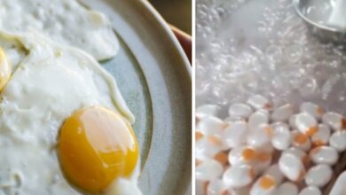 Unveiling the Truth About Fake Eggs: How to Stay Safe