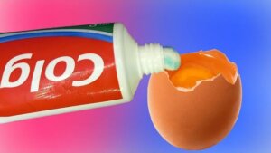 You Definitely Didn’t Know This Life Hack with Egg and Toothpaste!