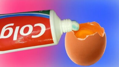 You Definitely Didn’t Know This Life Hack with Egg and Toothpaste!